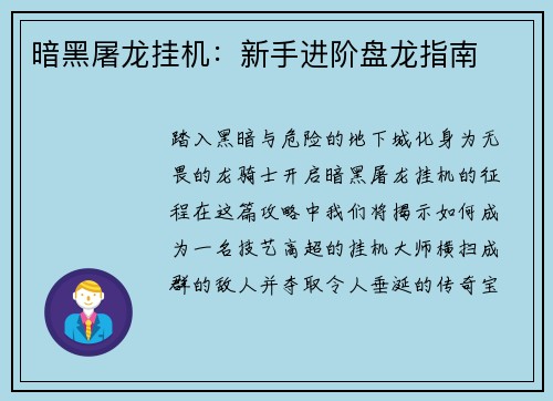 暗黑屠龙挂机：新手进阶盘龙指南